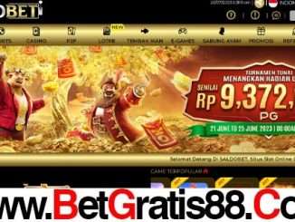 SALDOBET Bonus New Member 50%